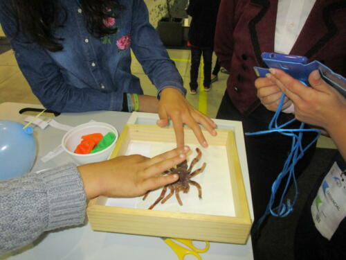 IMG 6695
